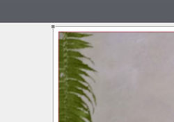Photoshop Aktionen