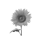 retro flower