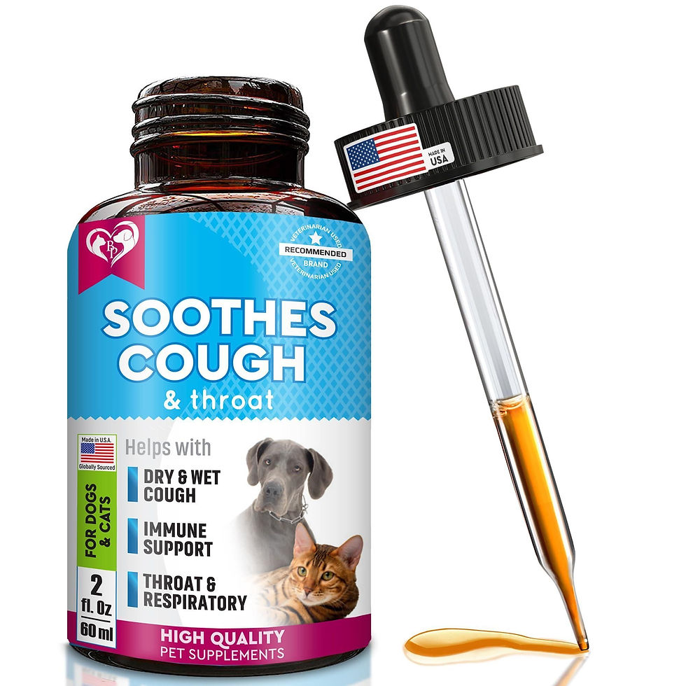 Thumbnail: Kennel Cough Treatment Natural Infection Medicine for Dog Cats Cold Cough Relief
