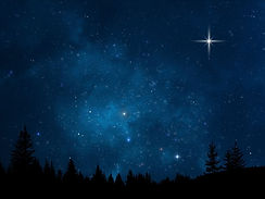small star- tree line night.jpg