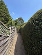 Traditional detached house with a large hedge, situated in a suburban neighbourhood under a partly cloudy sky.