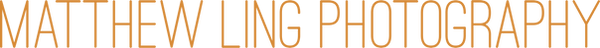 Matthew Ling logo