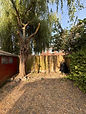 A cleared garden