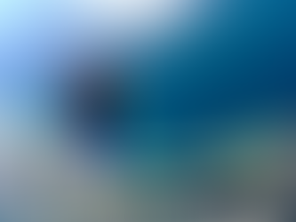 Things To Do In Wollongong, New South Wales