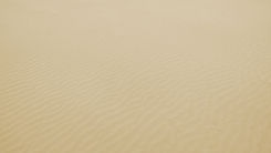 Sandy Desert Texture
