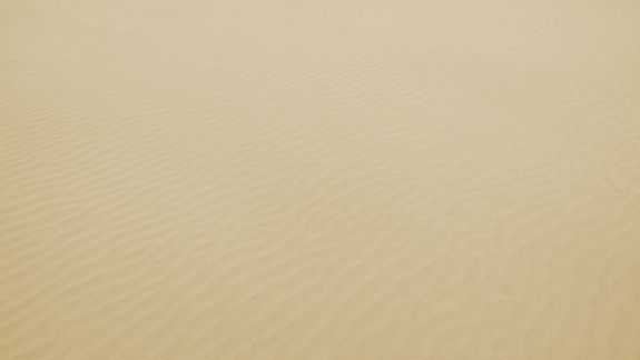 Dunes de sable