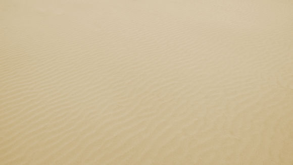 Sandy Desert Texture