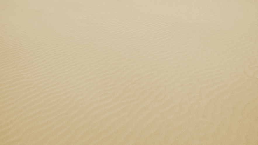 Sandy Desert Texture