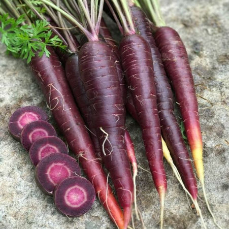 Certified Organic Purple Carrots