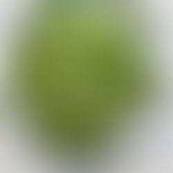 Recipes for Thursday April 30th, 2026