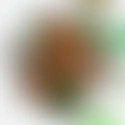 Healthy Recipes for  8/22/24  Produce Basket