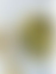 Recipes for Thursday April 23rd, 2026