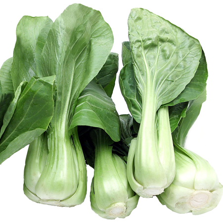 Organic boy Choy