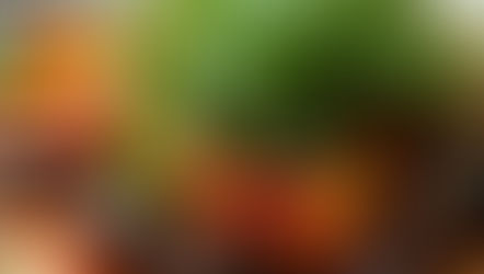 Portobello Mushroom Fajitas Recipe With Zesty Cilantro Sauce