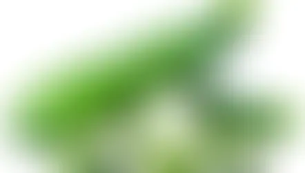 Farm Fresh Organic Zucchini