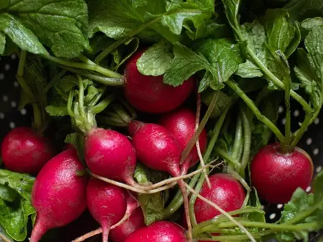 Fresh Organic Produce for Apr 1st, 2026