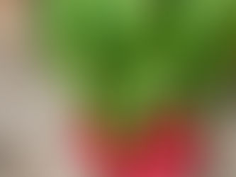 Fresh Organic Produce for August 29th, 2024