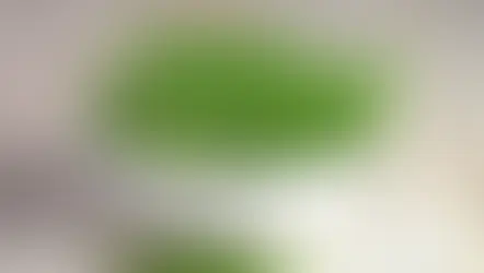 Fresh Organic Produce for July 23rd, 2026