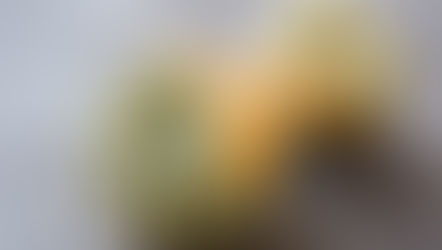 Fresh Organic Produce for January 15th, 2026