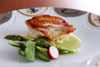 Ricca魚(2024) (1).JPG