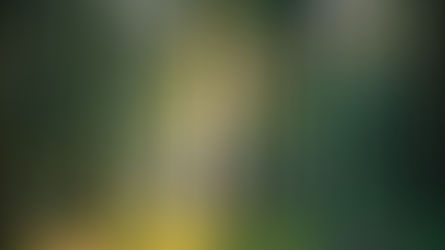 Tariffs, Inflation, and Taxes: Where's the Balance?