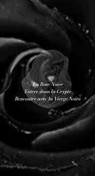 NOIRE.png