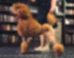 475844926_592061536990649_6774536685509973354_n_edited