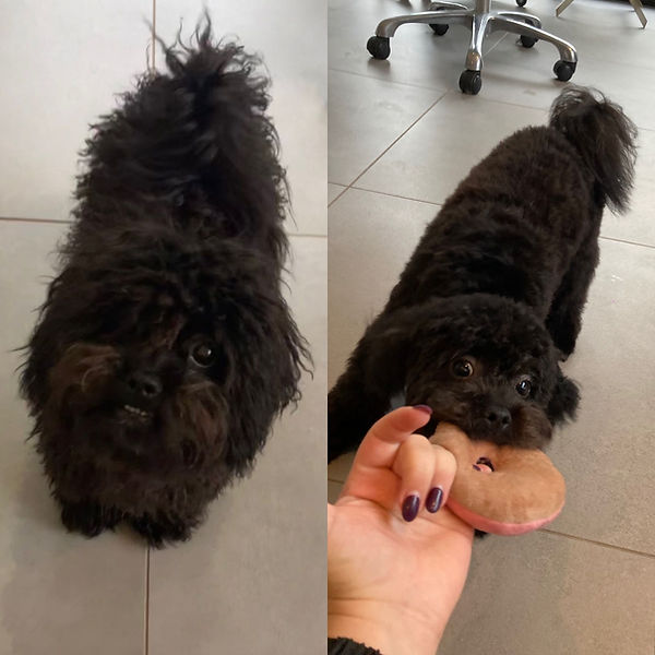 WhatsApp Image 2026-03-04 at 21.14.21 (1).jpeg