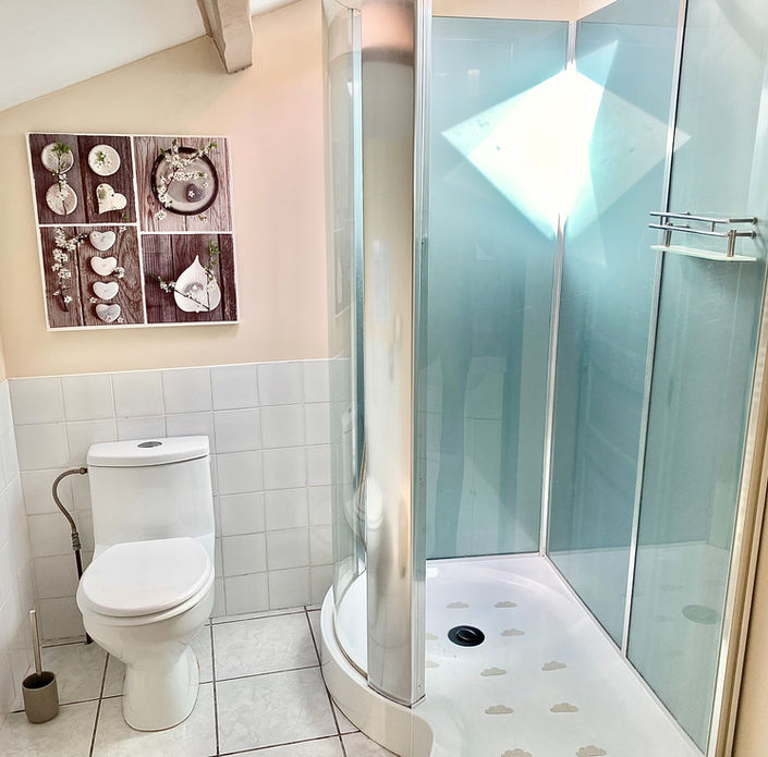 gite vert bathroom shower.jpeg