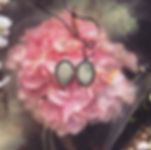 IMG_5180.jpeg