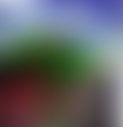 Quilted Baby Blanket