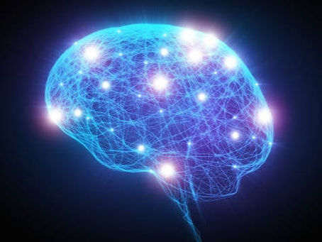 Brain wiring
