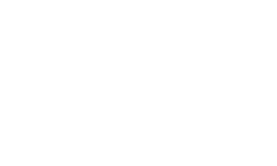 DT Logo.png