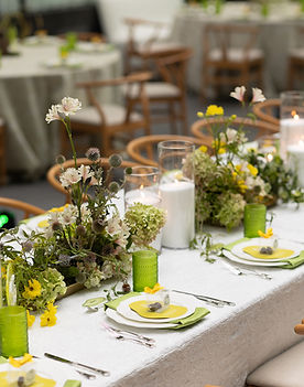 Wipa- Gala-Avonne-Photography-77.jpg