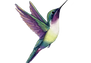 The Hummingbird Trip logo