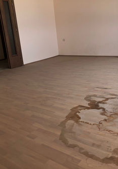 WhatsApp Image 2022-10-17 at 12.18.50 (1).jpeg