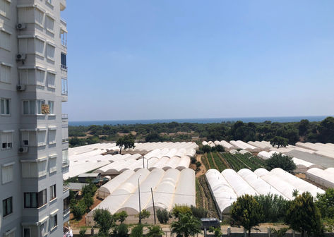 WhatsApp Image 2022-10-17 at 12.18.51.jpeg