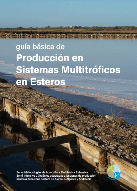 MT-Integrado_ES.gif