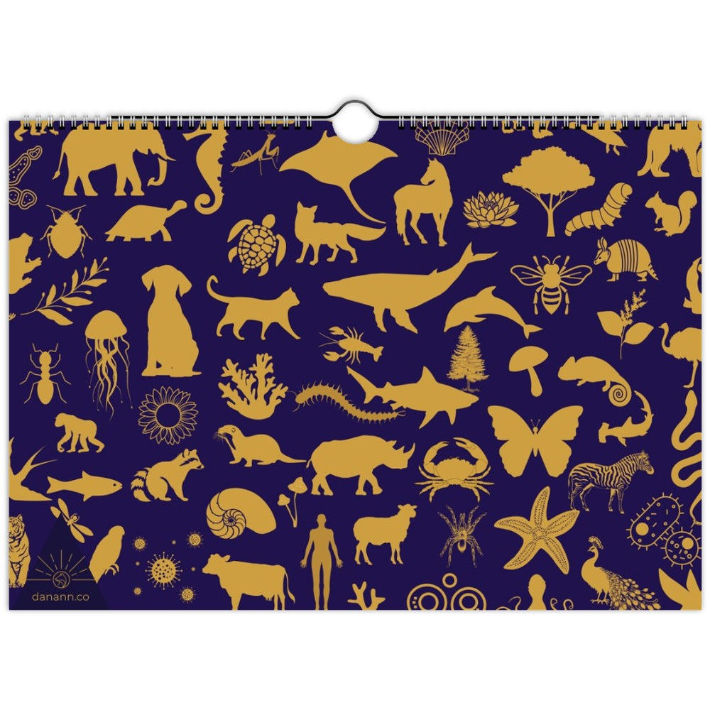 Calendar 2025 | ECOCENTRIC GOLD BLUE | FSC