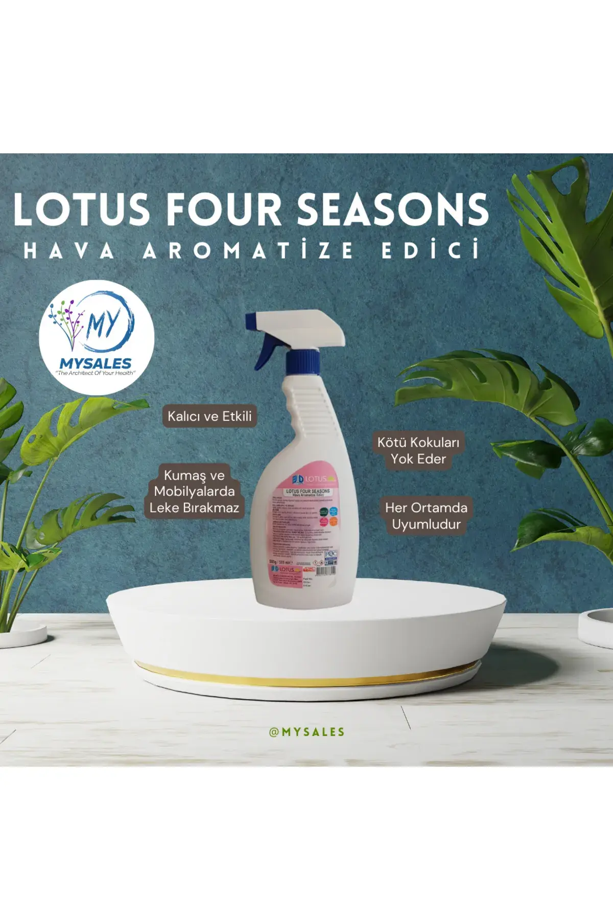 LOTUS FOUR SEASONS Hava Şartlandırıcısı 0.5 (Kg)