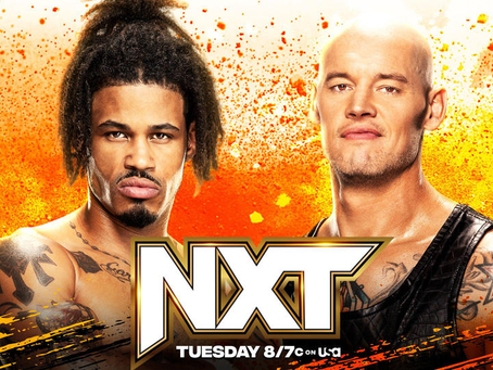 NXT Review: 14/11