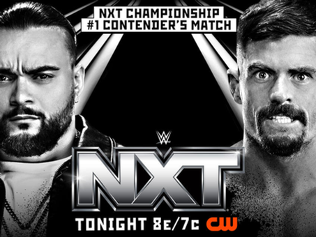 NXT Review: 11/08