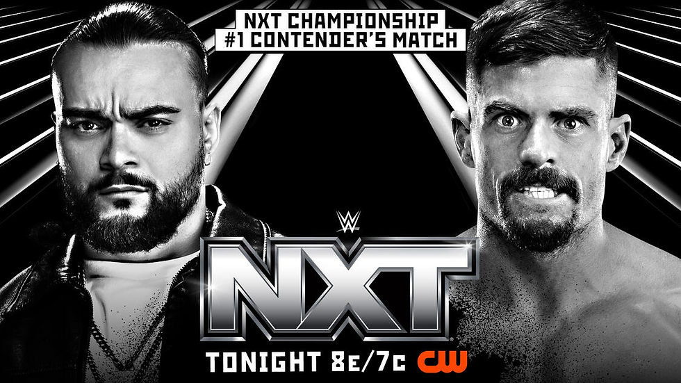 NXT Review: 11/08