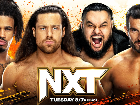 NXT Review: 28/11