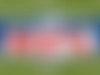 My 2022 NFL Predictions