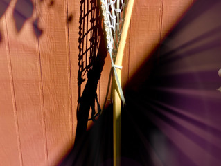 Prize 2: Traditional Lacrosse Stick