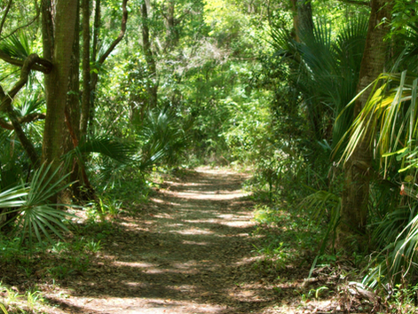Things To Do in Longwood