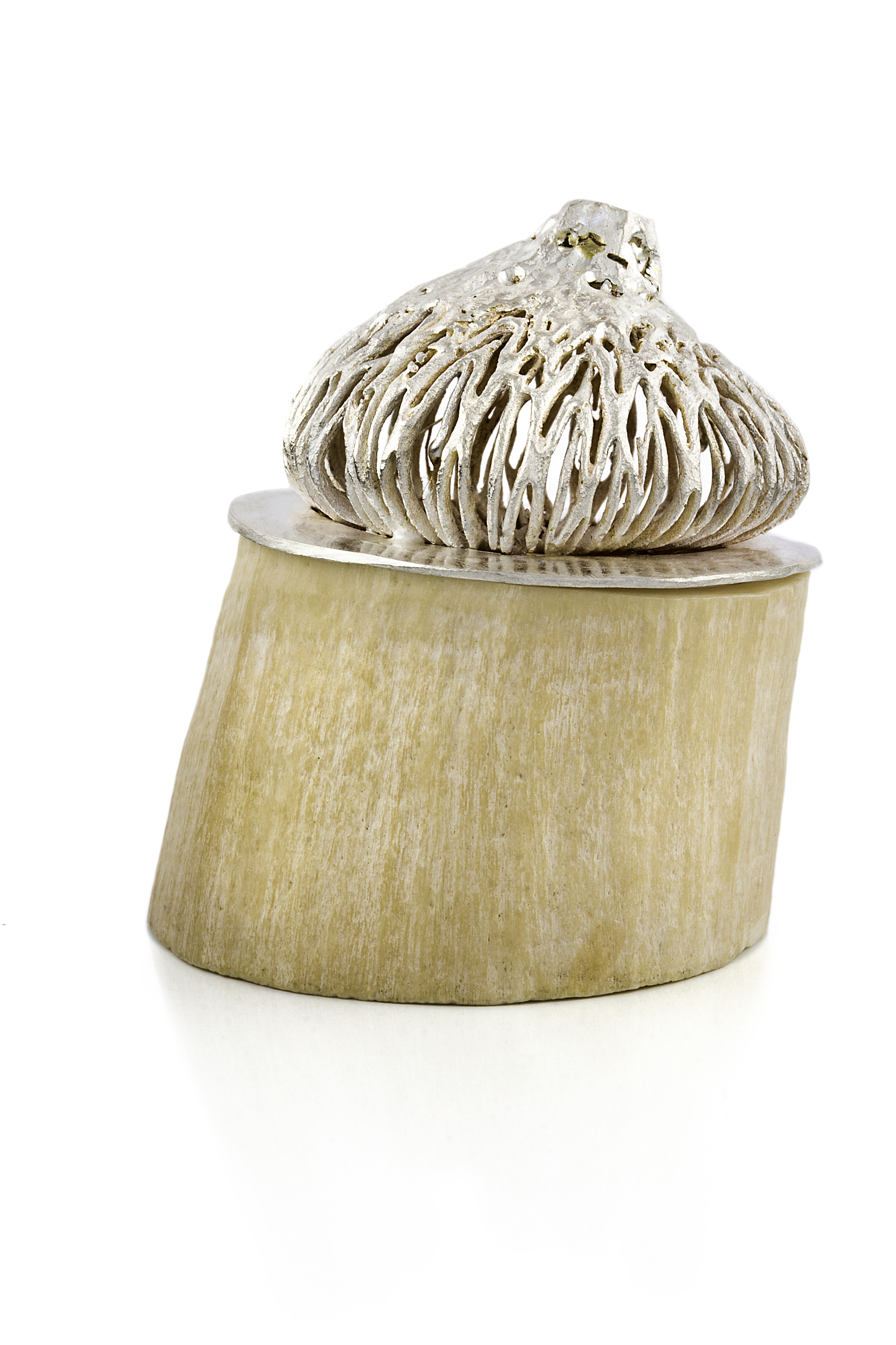Jewellery box by Sultana Shamshi