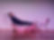 YT cover 2024 new.jpg