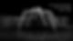 YT cover 2024 new.jpg